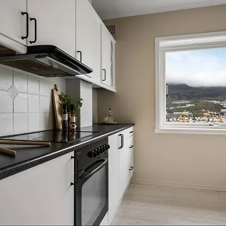 Flott Sentral 3 Roms